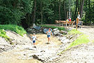 Foto 1 zur Tour: Lebensbaumpfad St. Georgen