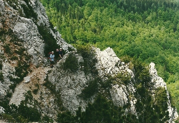 Foto: Wolfgang Dröthandl / Wandertour / Vom Bodental auf den Hochstuhl / Stinzesteig - schwierigster Abschnitt des Aufstiegs zur Klagenfurter Hütte / 16.05.2011 17:09:20
