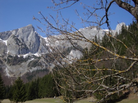 Foto: Wolfgang Dröthandl / Wandertour / Hochschwabrunde übers G´hackte / Zinken vom Ameisenlehrpfad Bodenbauer / 01.04.2014 14:46:55