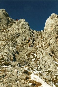 Foto: Wolfgang Dröthandl / Wandertour / Hochschwabrunde übers G´hackte / Nicht allzu ausgesetzte, versicherte Schrofenkraxelei im oberen Abschnitt des 'Ghackten' / 16.05.2011 15:21:11