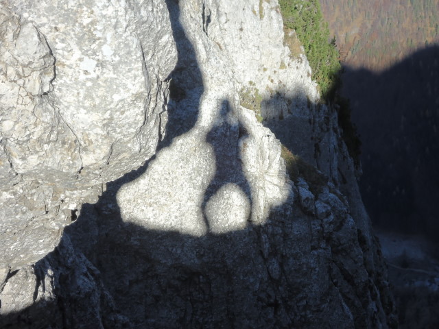 Foto: Günter Siegl / Wandertour / Überschreitung des Sengsengebirges von Windischgarsten nach Klaus / 22.11.2011 17:14:32