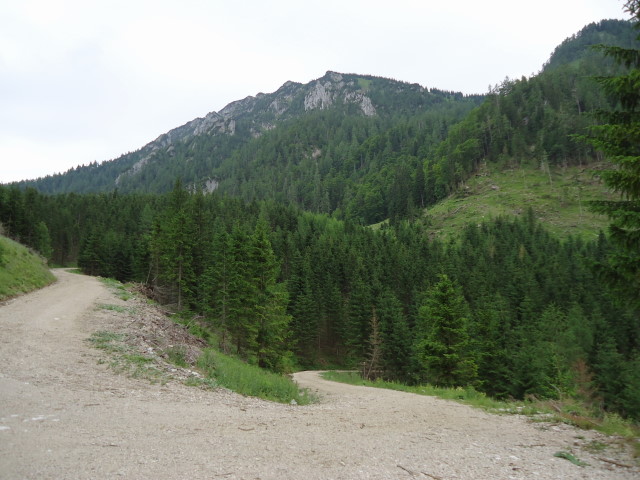 Foto: Günter Siegl / Wandertour / Großes Maiereck - Rundwanderung / Gr. Maiereck kurz vor dem Sauboden / 01.07.2012 12:58:33