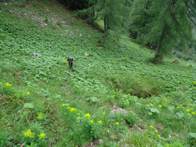 Foto: Günter Siegl / Wandertour / Großes Maiereck - Rundwanderung / 01.07.2012 12:56:49