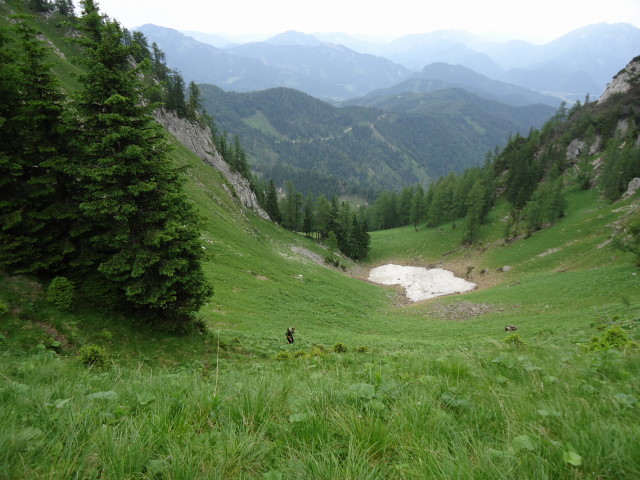 Foto: Günter Siegl / Wandertour / Großes Maiereck - Rundwanderung / Aufstiegsweg auf den Sattel / 01.07.2012 12:56:05
