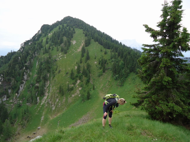Foto: Günter Siegl / Wandertour / Großes Maiereck - Rundwanderung / Blick vom Kleinen Maiereck auf das Große Maiereck... ;) / 01.07.2012 12:54:57