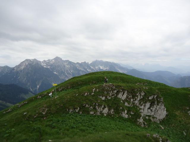 Foto: Günter Siegl / Wandertour / Großes Maiereck - Rundwanderung / Im Hintergrund die Haller Mauern / 01.07.2012 12:50:10