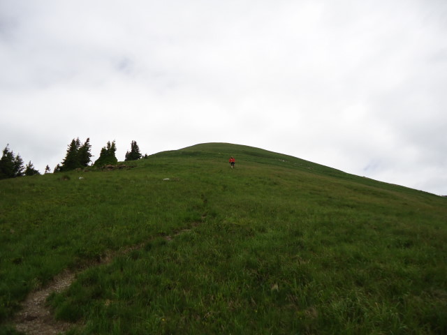 Foto: Günter Siegl / Wandertour / Großes Maiereck - Rundwanderung / 01.07.2012 12:47:55