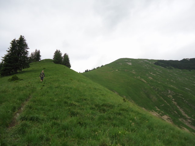Foto: Günter Siegl / Wandertour / Großes Maiereck - Rundwanderung / 01.07.2012 12:47:29