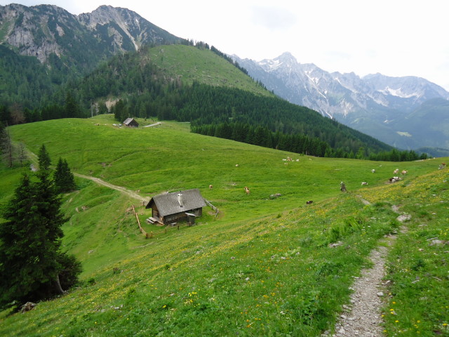 Foto: Günter Siegl / Wandertour / Großes Maiereck - Rundwanderung / Seisenalm / 01.07.2012 12:46:48