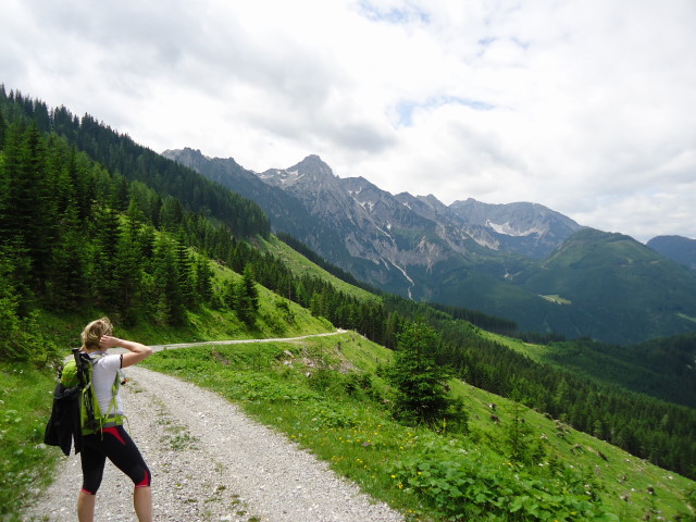 Foto: Günter Siegl / Wandertour / Großes Maiereck - Rundwanderung / Abstieg nach Oberlaussa mit Blick auf die Hallermauern / 01.07.2012 12:46:07