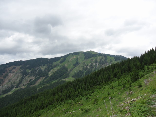 Foto: Günter Siegl / Wandertour / Großes Maiereck - Rundwanderung / Westseite des Maierecks / 01.07.2012 12:45:22
