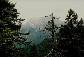 Foto: Wolfgang Dröthandl / Wandertour / Großes Maiereck - Rundwanderung / Blick auf den Großen Buchstein (vor Seisenalm) / 06.04.2011 16:13:10