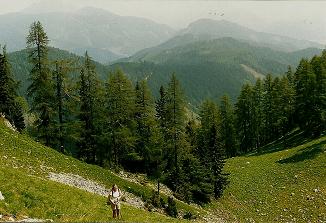 Foto: Wolfgang Dröthandl / Wandertour / Großes Maiereck - Rundwanderung / Aufstieg zum Kl. Maiereck durch eine Wiesenkarmulde - mehr Route als Weg... (Blickrichtung Norden) / 06.04.2011 16:20:44
