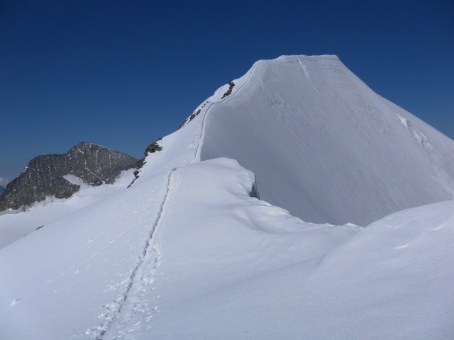 Foto: Wolfgang Lauschensky / Wandertour / Piz Palü - Eisriese in der Berninagruppe (3905 m) / Firngratschneide zum Hauptgipfel / 04.11.2013 20:19:16