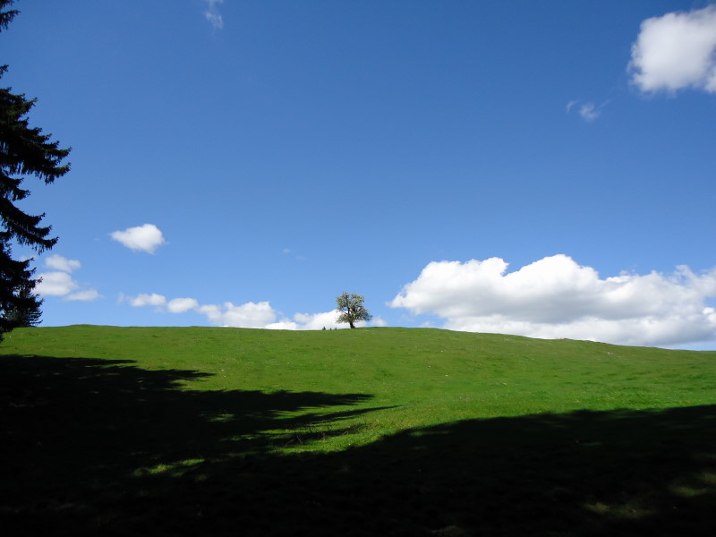 Foto: Günter Siegl / Wandertour / Gschwendtalm und Brunnbacher Gamsstein / 26.04.2014 12:59:07