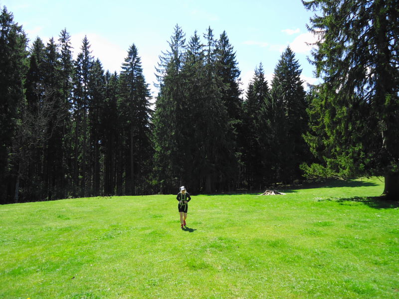 Foto: Günter Siegl / Wandertour / Gschwendtalm und Brunnbacher Gamsstein / 26.04.2014 12:59:43