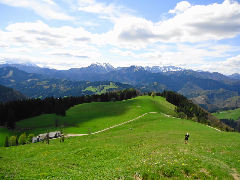 Foto: Günter Siegl / Wandertour / Gschwendtalm und Brunnbacher Gamsstein / Blick v.l.n.r: Haller Mauern, Größtenberg, Alpstein, Sengsengebirge... / 26.04.2014 13:01:52
