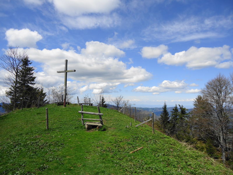 Foto: Günter Siegl / Wandertour / Gschwendtalm und Brunnbacher Gamsstein / Gamsstein / 26.04.2014 13:02:29