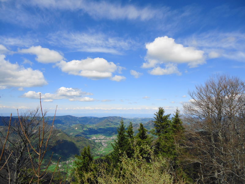 Foto: Günter Siegl / Wandertour / Gschwendtalm und Brunnbacher Gamsstein / Blick nach Norden zu Großraming und Spadenberg / 26.04.2014 13:02:53
