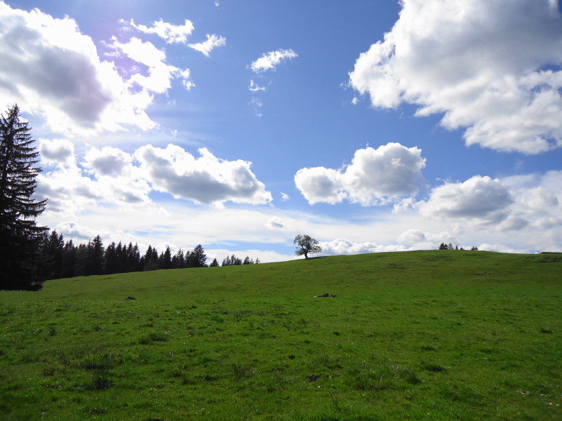 Foto: Günter Siegl / Wandertour / Gschwendtalm und Brunnbacher Gamsstein / 26.04.2014 13:03:20