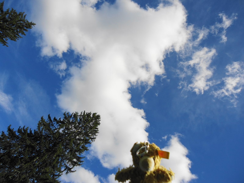Foto: Günter Siegl / Wandertour / Gschwendtalm und Brunnbacher Gamsstein / 26.04.2014 13:03:26
