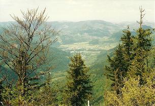 Foto: Wolfgang Dröthandl / Wandertour / Gschwendtalm und Brunnbacher Gamsstein / Blick vom Gamsstein auf Großreifling (im Norden) / 07.03.2011 16:26:59