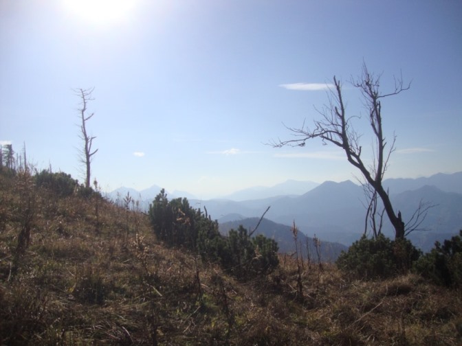Foto: Wolfgang Dröthandl / Wandertour / Über die Ennser Hütte auf den Almkogel / Erinnerung an Sturm Kyrill? / 16.10.2018 14:39:01