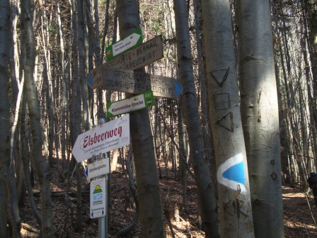 Foto: Wolfgang Dröthandl / Wandertour / Gföhlberg - zweithöchster Gipfel des Wienerwaldes / Wenn man hier rechts geht, ergibt sich eine nette Runde, bei der zuerst der Gipfel von Nordosten überschritten und dann die Hütte erreicht wird. / 03.04.2017 09:26:44