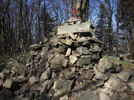 Foto: Wolfgang Dröthandl / Wandertour / Gföhlberg - zweithöchster Gipfel des Wienerwaldes / Gföhlberg - Gipfel / 03.04.2017 09:24:40