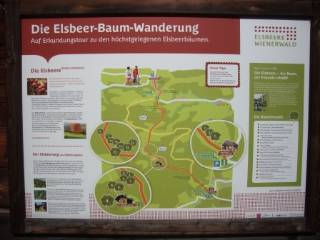 Foto: Wolfgang Dröthandl / Wandertour / Gföhlberg - zweithöchster Gipfel des Wienerwaldes / Tafel für den Elsbeerweg / 03.04.2017 09:22:34