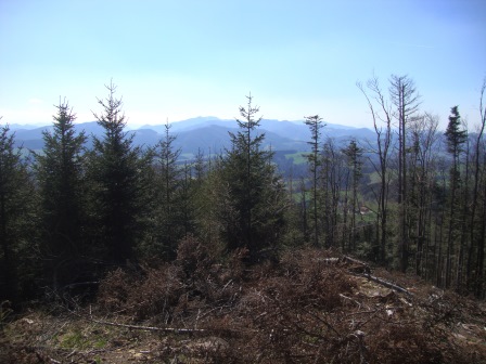 Foto: Wolfgang Dröthandl / Wandertour / Gföhlberg - zweithöchster Gipfel des Wienerwaldes / Raxblick unweit der Hütte / 03.04.2017 09:22:10