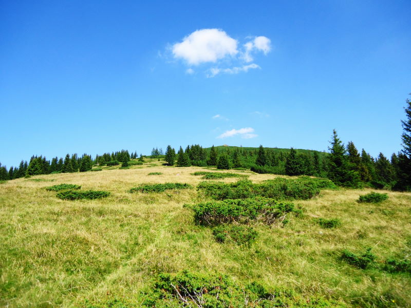 Foto: Günter Siegl / Wandertour / Großer Ringkogel und Pletzen (2345 m) / zum Repenstein / 27.08.2015 07:56:59