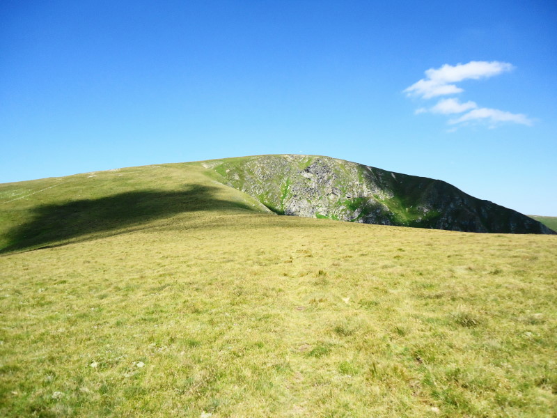 Foto: Günter Siegl / Wandertour / Großer Ringkogel und Pletzen (2345 m) / Gr. Ringkogel / 27.08.2015 07:56:25