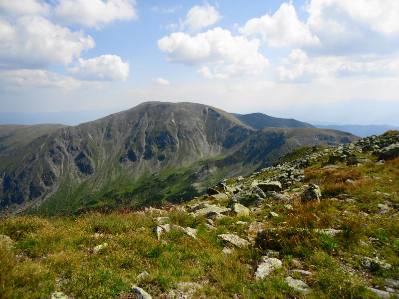 Foto: Günter Siegl / Wandertour / Großer Ringkogel und Pletzen (2345 m) / Pletzen und Ringkogel vom Sonntagkogel aus gesehen / 27.08.2015 07:57:42