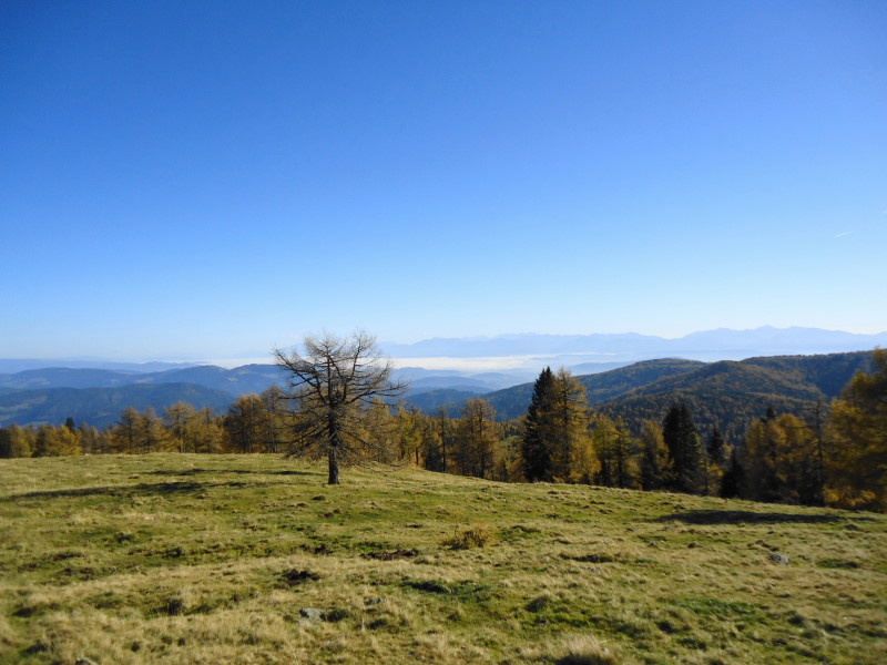Foto: Günter Siegl / Wandertour / Kruckenspitze, 1886 m / 06.11.2014 19:35:41