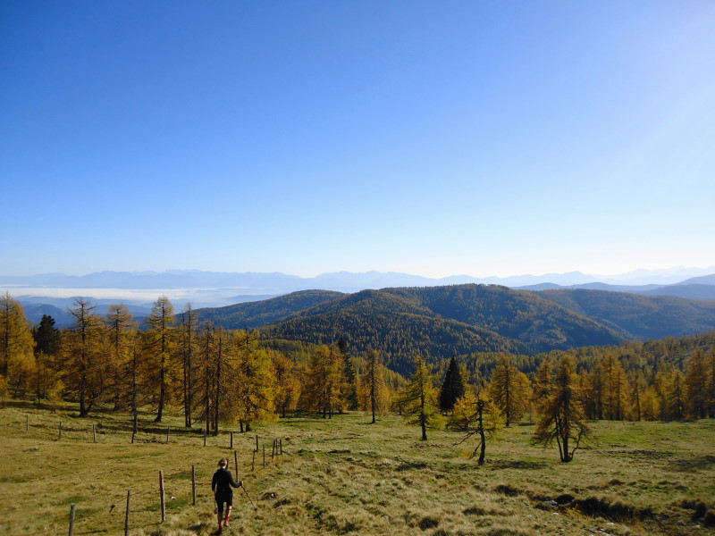 Foto: Günter Siegl / Wandertour / Kruckenspitze, 1886 m / Im Herbst besonders farbenprächtige Wanderung / 06.11.2014 19:35:35