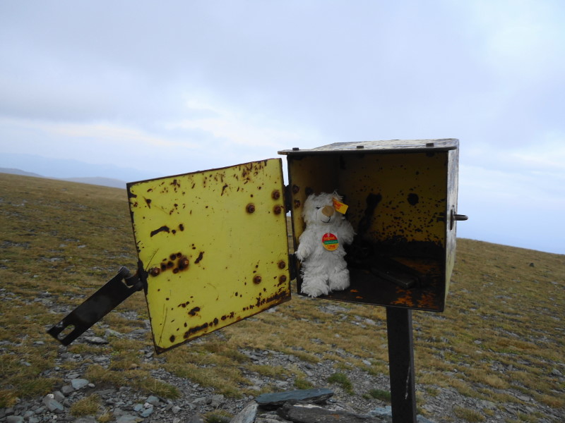 Foto: Günter Siegl / Wandertour / Von St. Lorenzen auf den Speikkofel / Basty / 10.11.2016 20:55:05
