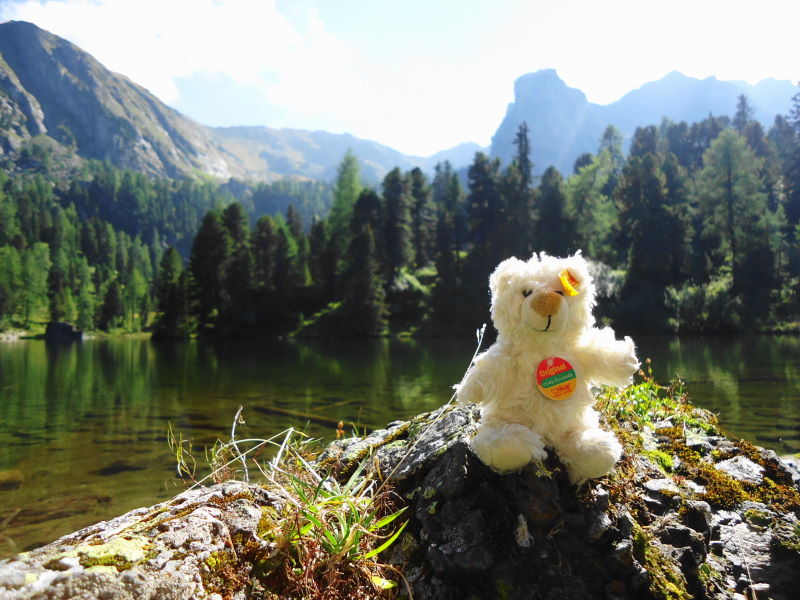 Foto: Günter Siegl / Wandertour / Zum Dach der Nockberge / Basty / 22.09.2016 21:13:29