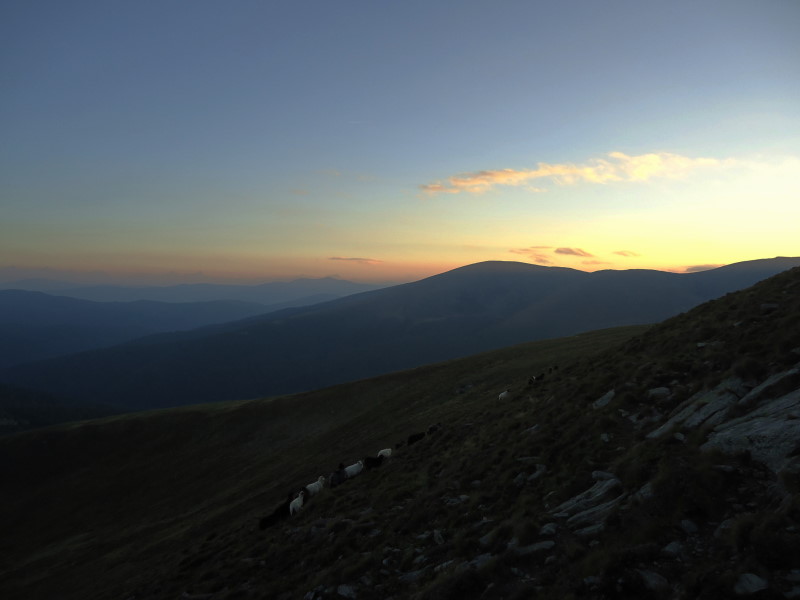 Foto: Günter Siegl / Wandertour / Zum Dach der Nockberge / Speikkofel / 22.09.2016 20:54:13
