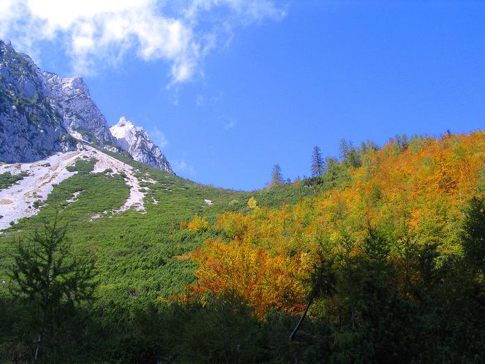 Foto: Andreas Koller / Klettersteigtour / Hochturm - Nordflankensteig (2088 m) / Herbstliche Farben unterhalb des Hainsch Sattels / 18.09.2007 01:27:34