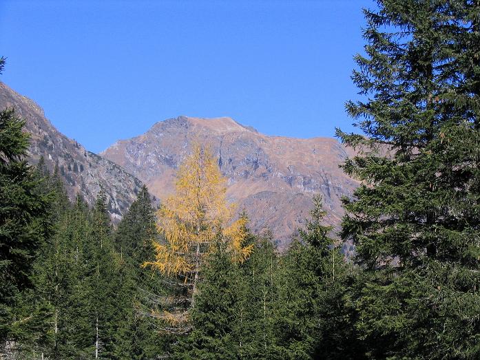 Foto: Andreas Koller / Wandertour / Aus dem Schöttlgraben auf den Hohenwart (2363m) / Herbst im Schöttlgraben / 17.10.2007 02:29:55