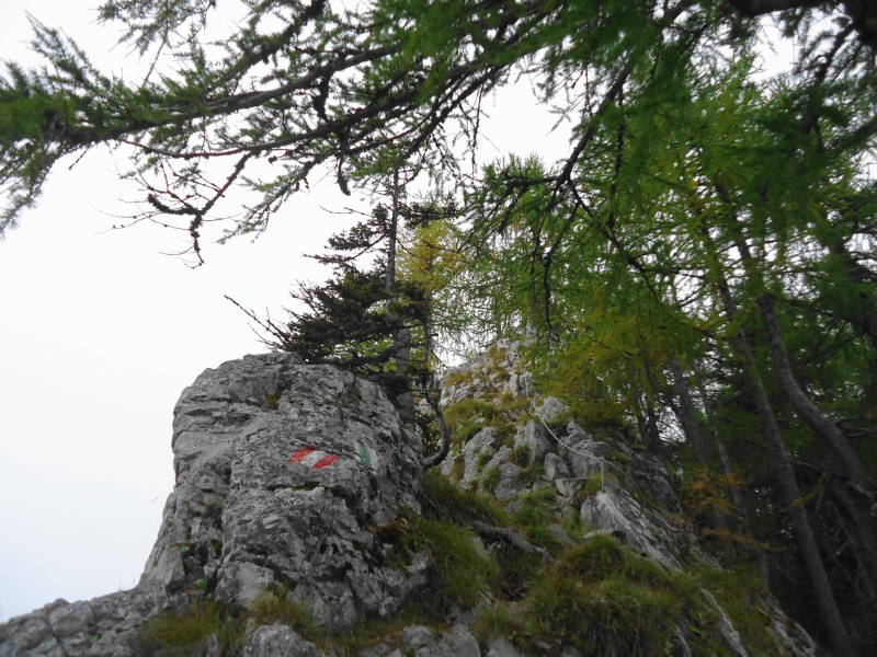 Foto: Günter Siegl / Wander Tour / Kobesnock / Seilsicherungen / 24.10.2016 20:58:44