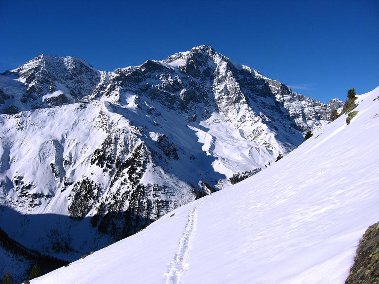 Foto: Andreas Koller / Skitour / Durch das Rosimtal auf die Schildspitze (3461m) / Einsame Anstiegsspur und Ortler (3905 m) / 22.02.2008 02:25:51