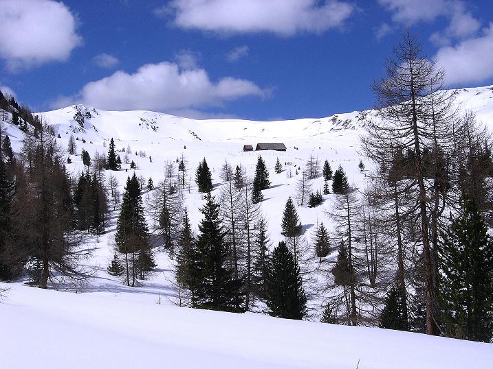 Foto: Andreas Koller / Skitour / Vom Bundschuh auf die Schwarzwand (2214 m) / Durch lichten Wald zur Bruggeralm / 06.04.2008 23:48:29