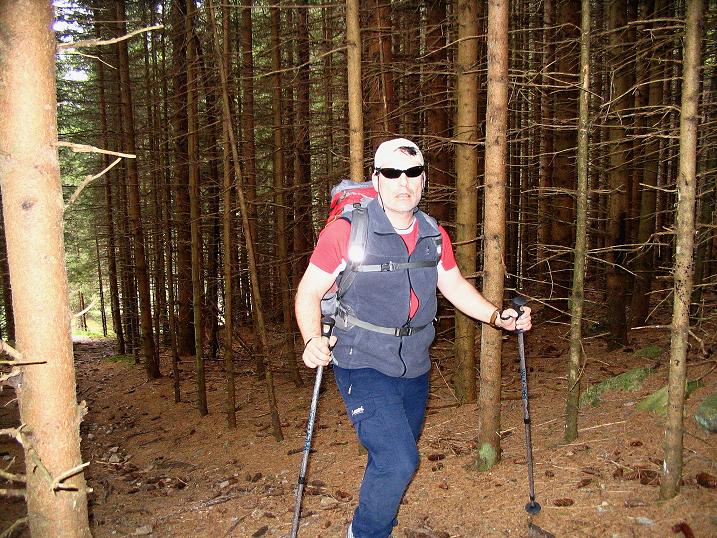 Foto: Andreas Koller / Wander Tour / Durch den Brandstätter Graben auf den Maierangerkogel (2356m) / Im dichten Wald / 20.05.2008 00:44:48
