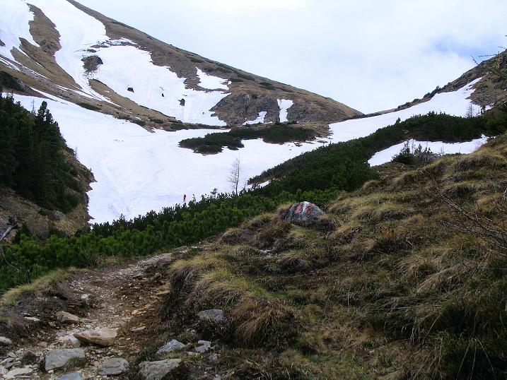 Foto: Andreas Koller / Wander Tour / Durch den Brandstätter Graben auf den Maierangerkogel (2356m) / Der tiefe Einschnitt ist das Brandstättertörl / 20.05.2008 00:42:14