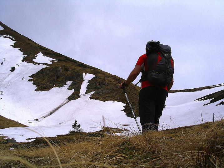 Foto: Andreas Koller / Wander Tour / Durch den Brandstätter Graben auf den Maierangerkogel (2356m) / Dem Brandstättertörl entgegen / 20.05.2008 00:41:30
