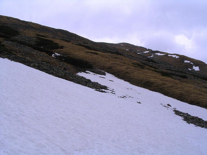 Foto: Andreas Koller / Wander Tour / Durch den Brandstätter Graben auf den Maierangerkogel (2356m) / Im Anstieg zum Brandstättertörl zeigt dich der Brandstätterkogel / 20.05.2008 00:40:22