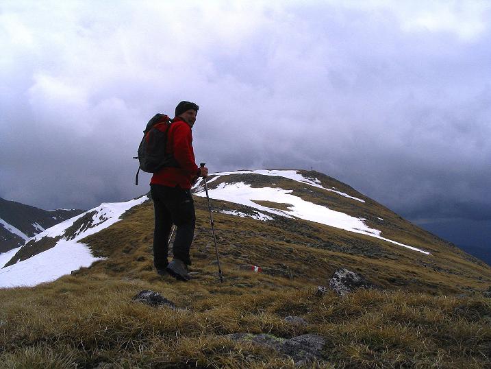 Foto: Andreas Koller / Wander Tour / Durch den Brandstätter Graben auf den Maierangerkogel (2356m) / Nur mehr wenige Höhenmeter zum Gipfel / 20.05.2008 00:35:35