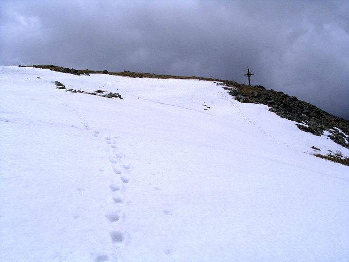 Foto: Andreas Koller / Wander Tour / Durch den Brandstätter Graben auf den Maierangerkogel (2356m) / Die letzten Meter zum Gipfel des Brandstätterkogels / 20.05.2008 00:34:05